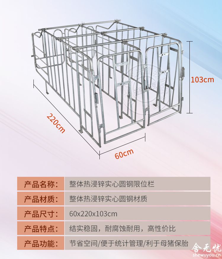 热侵锌母猪定位栏尺寸